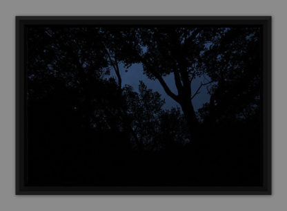 Nocturne forestier, photo dans caisse américaine