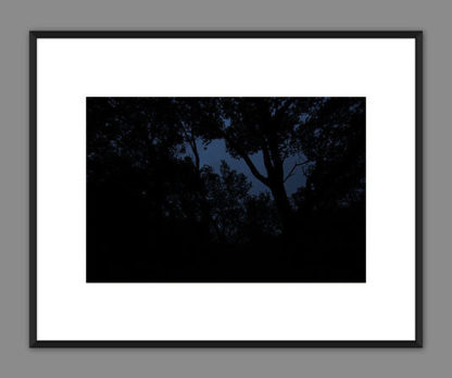 Photo d'une nuit sombre dans une forêt