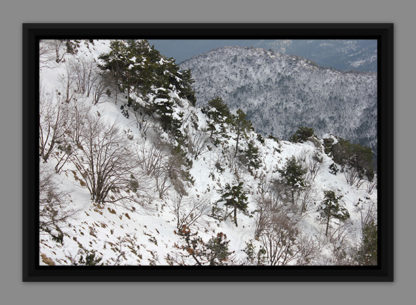 Snowy landscape, picture in American box