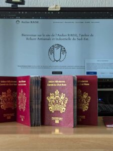 Le Passeport du Comté du Chat Rose