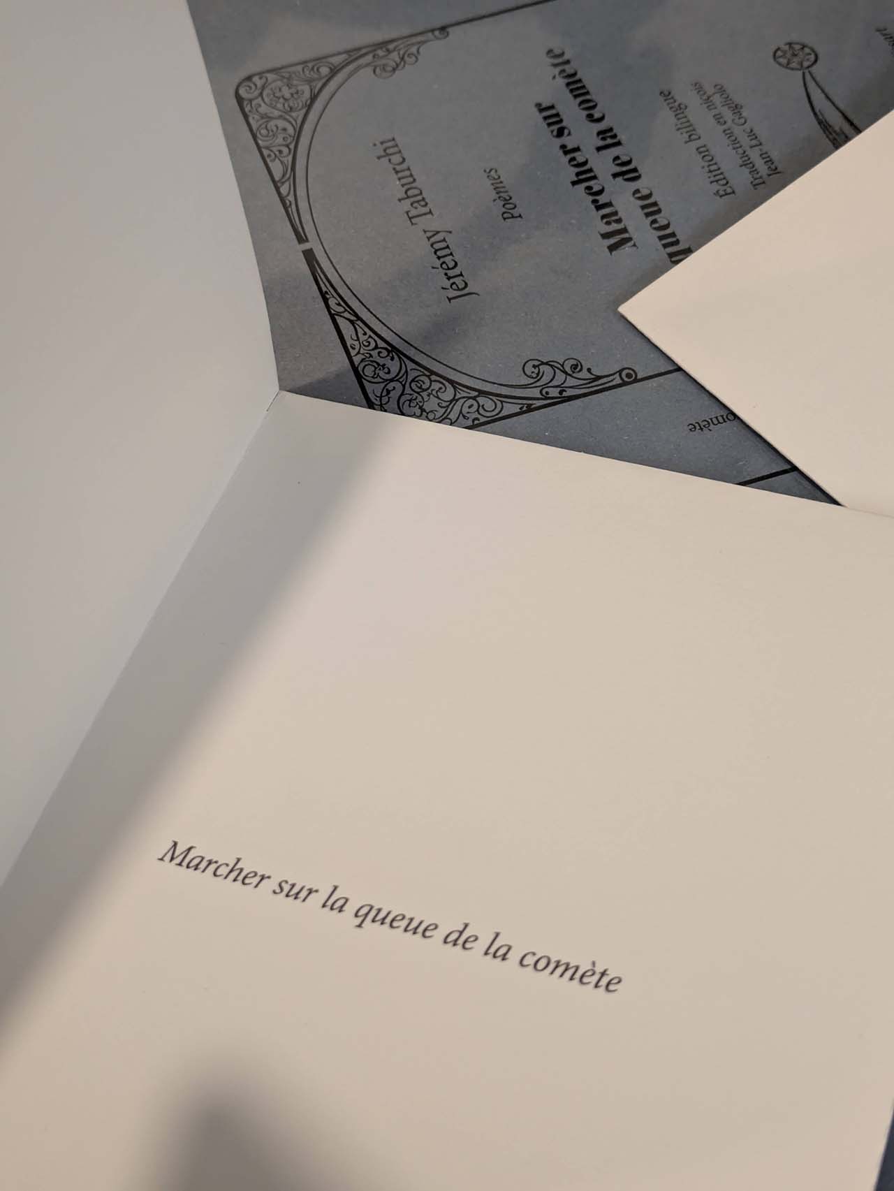 Marcher sur la queue de la comète, un recueil de poèmes de Jérémy Taburchi