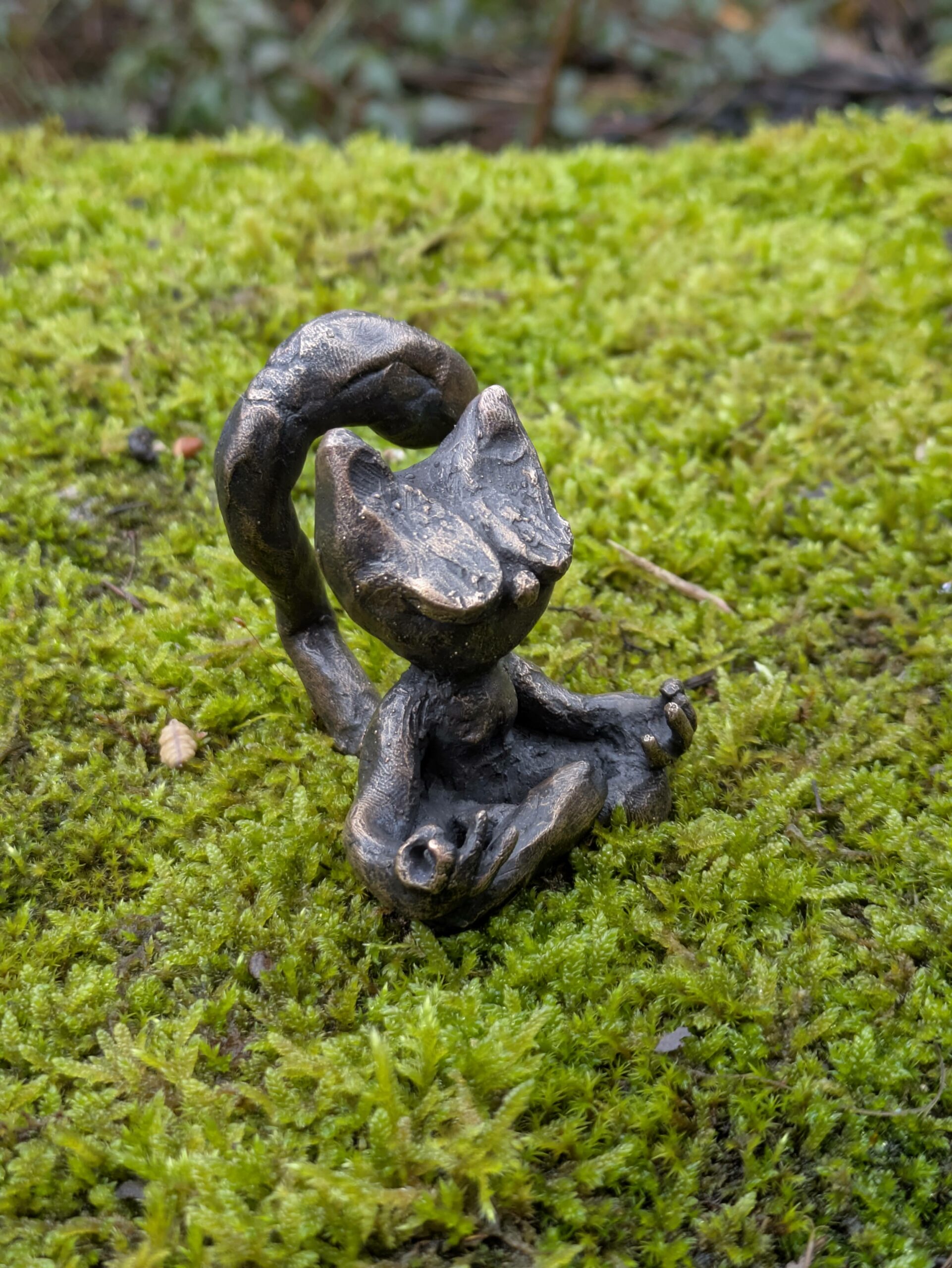 Le Chabouddha – Image 5