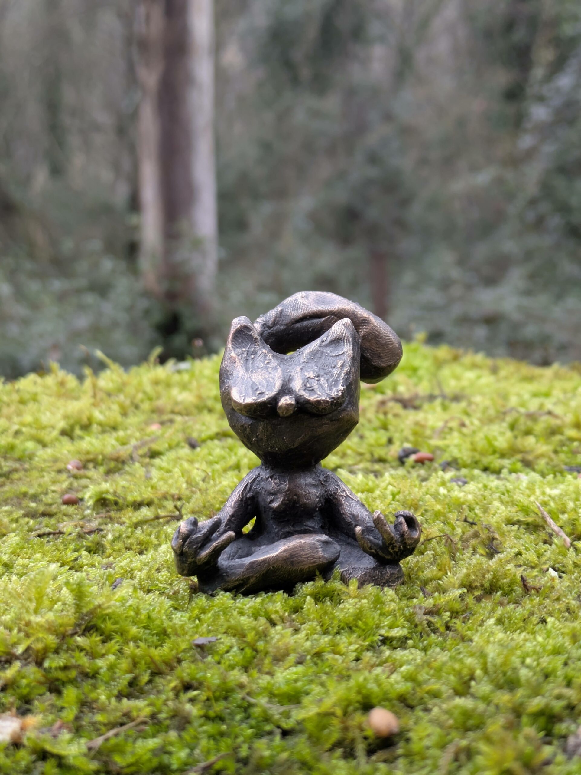 Le Chabouddha – Image 3