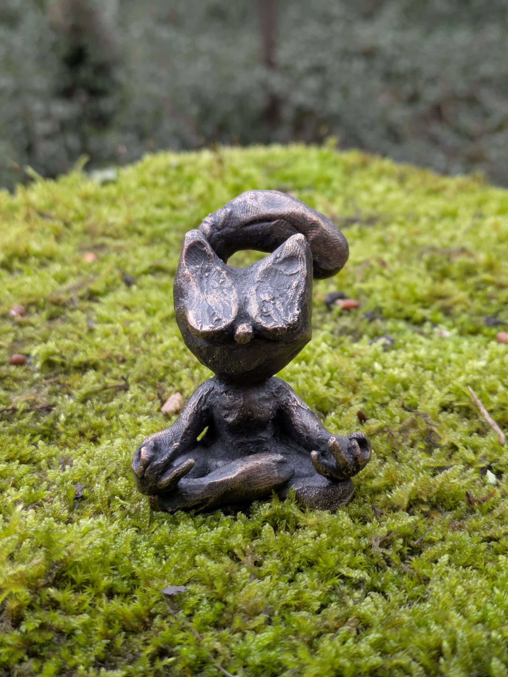 Le Chabouddha – Image 2